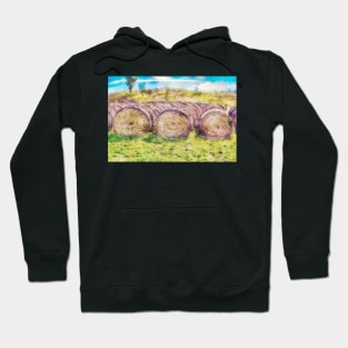 Hay Bales 6 Hoodie